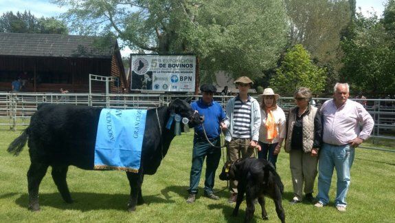 Un toro de Luis Beltrán fue campeón en la quinta Expo Bovina 