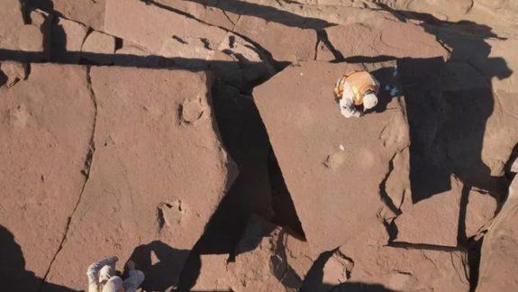 Río Negro: hacían un patrullaje y encontraron huellas de dinosaurio 