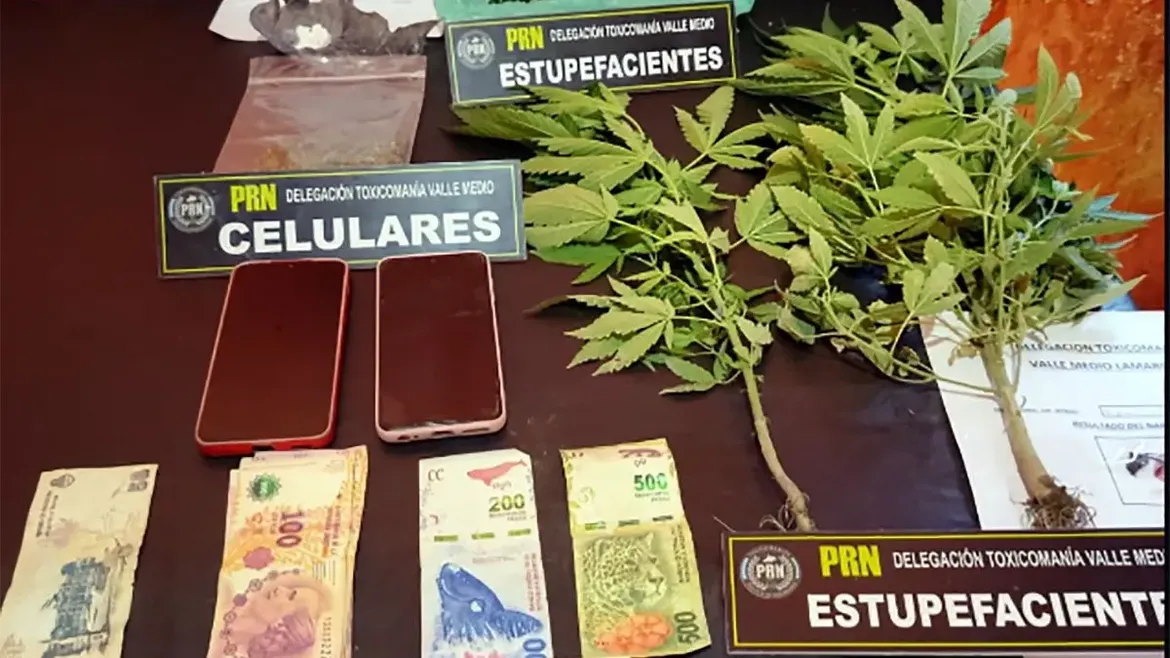 Durante el procedimiento se incautaron 300 dosis de cocaína y dos kilos de marihuana en distintos formatos. | LMCipolletti.com Durante el procedimiento se incautaron 300 dosis de cocaína y dos kilos de marihuana en distintos formatos.