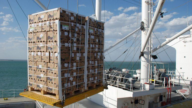 La exportación de frutas del Alto Valle se resiente porque los principales competidores tienen ventajas que hacen poco rentable la actividad.