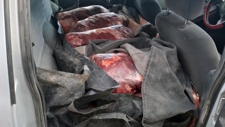 Decomisaron 500 kilos de carne que iban escondidos en una camioneta