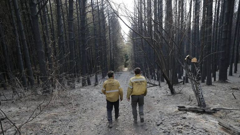 Cómo estaban los incendios en El Bolsón sobre el cierre del miércoles
