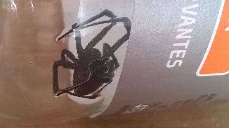 Tras el desmalezamiento que realizó el Municipio en el Distrito Vecinal Noreste