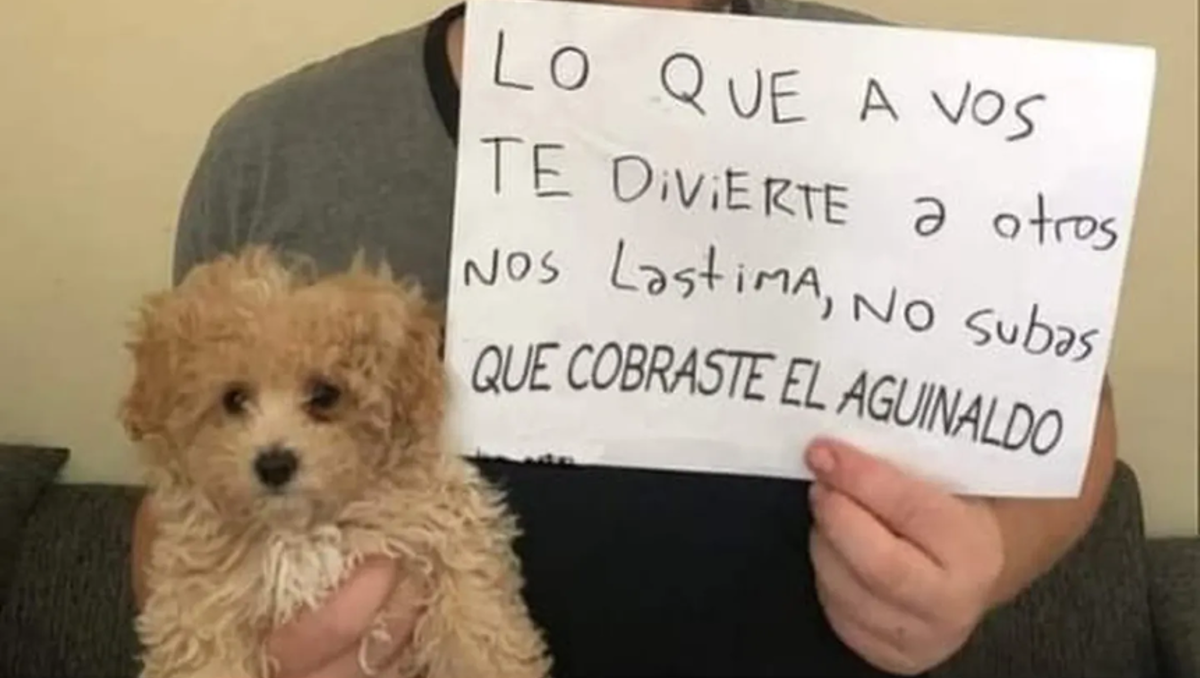 Trabajaba en una panadería y la echaron por compartir un meme