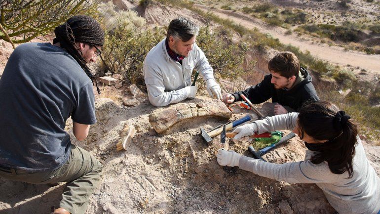Estudiantes de la UNCo encontraron restos de un dinosaurio en el campus de la universidad
