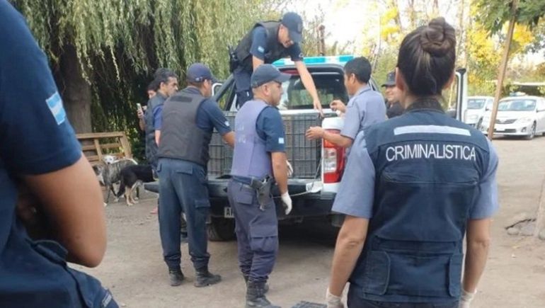Huergo: secuestran 24 gallos que eran usados en peleas clandestinas