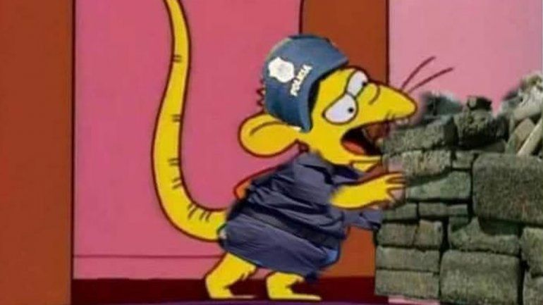 Estallaron los memes por las supuestas ratas que comieron marihuana