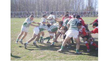marabunta no perdono y gano con claridad