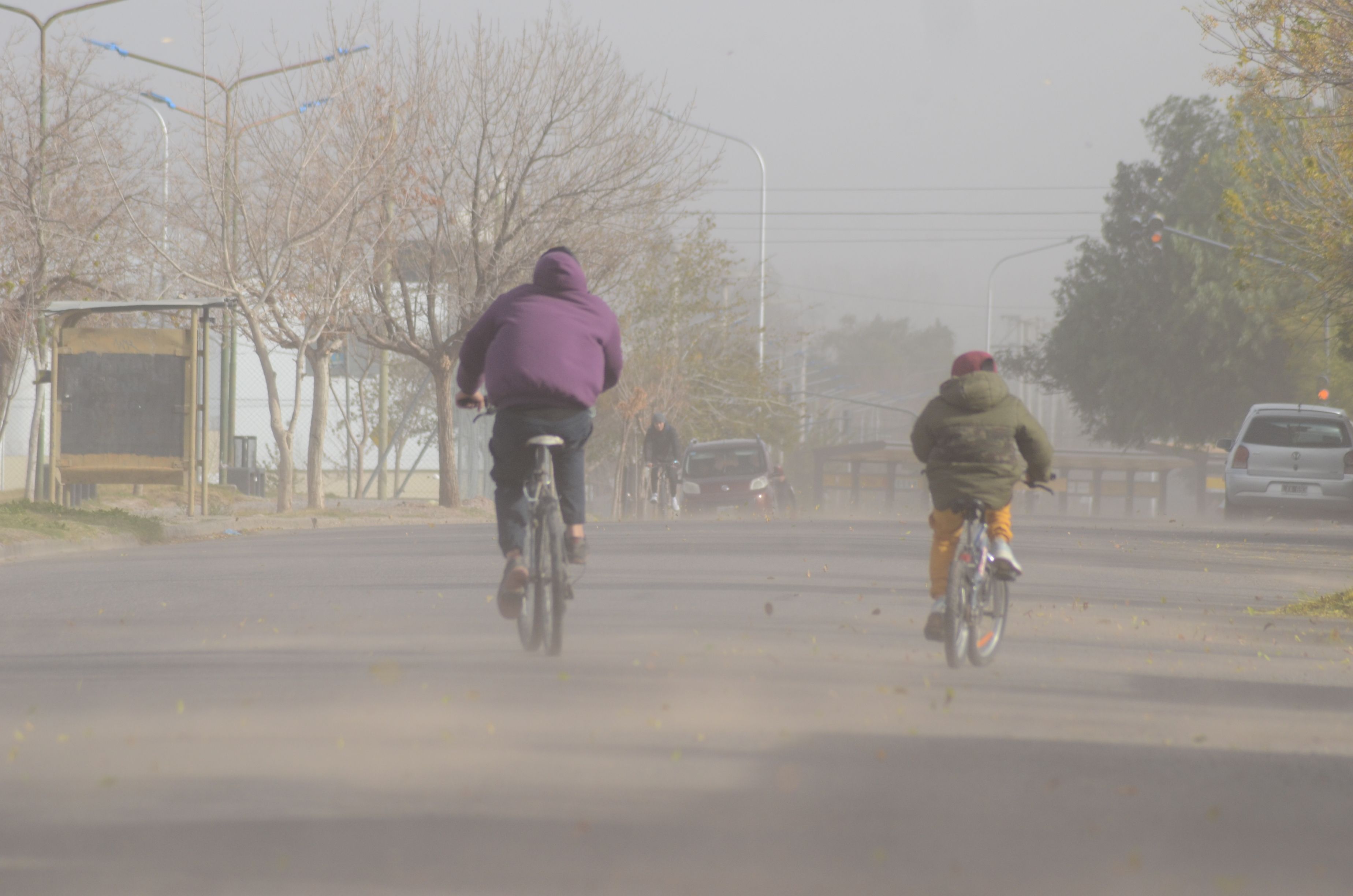 Regirá una alerta por viento en Neuquén y parte de la provincia.