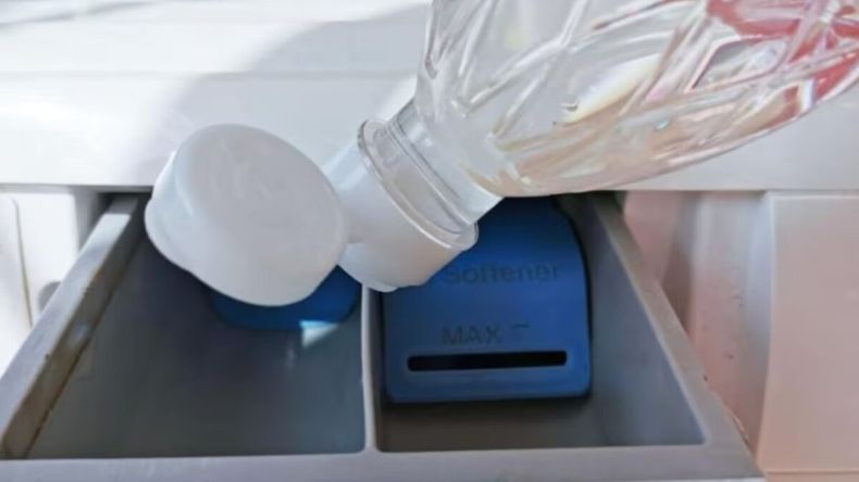 El procedimiento es simple y no requiere experiencia previa.