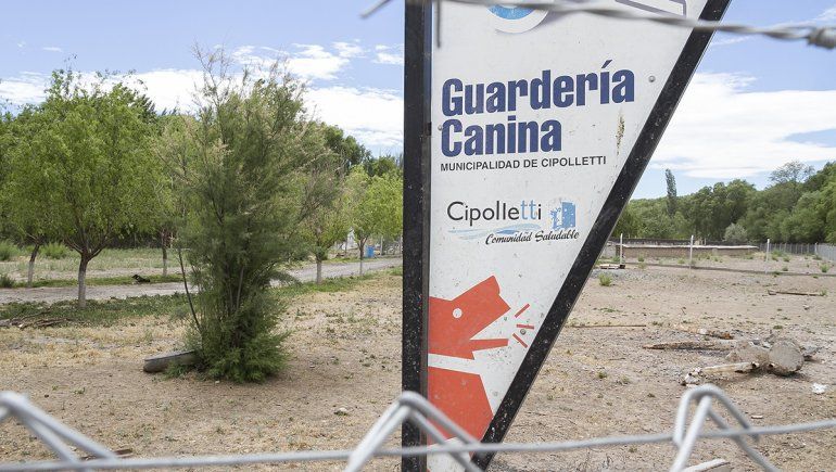 Los perros alojados en el sector denominado de Chuliber son fuente de preocupación para las proteccionistas.  &nbsp;