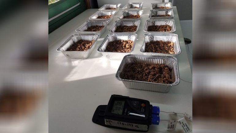 En la provincia ya se desarrollan alimentos a partir de bagazo cervecero