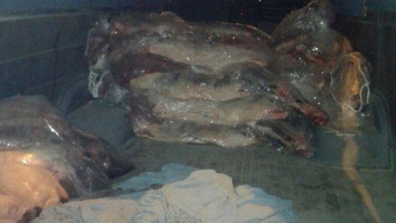 Los costillares se encontraban ocultos en una camioneta.