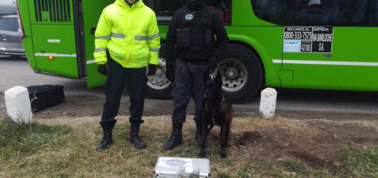 Iker es el perro que encontró la droga.
