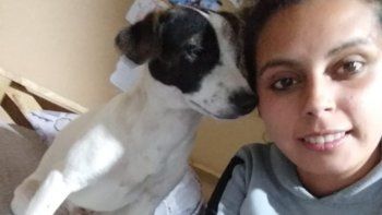 mataron a su perro con el auto y despues la amenazaron