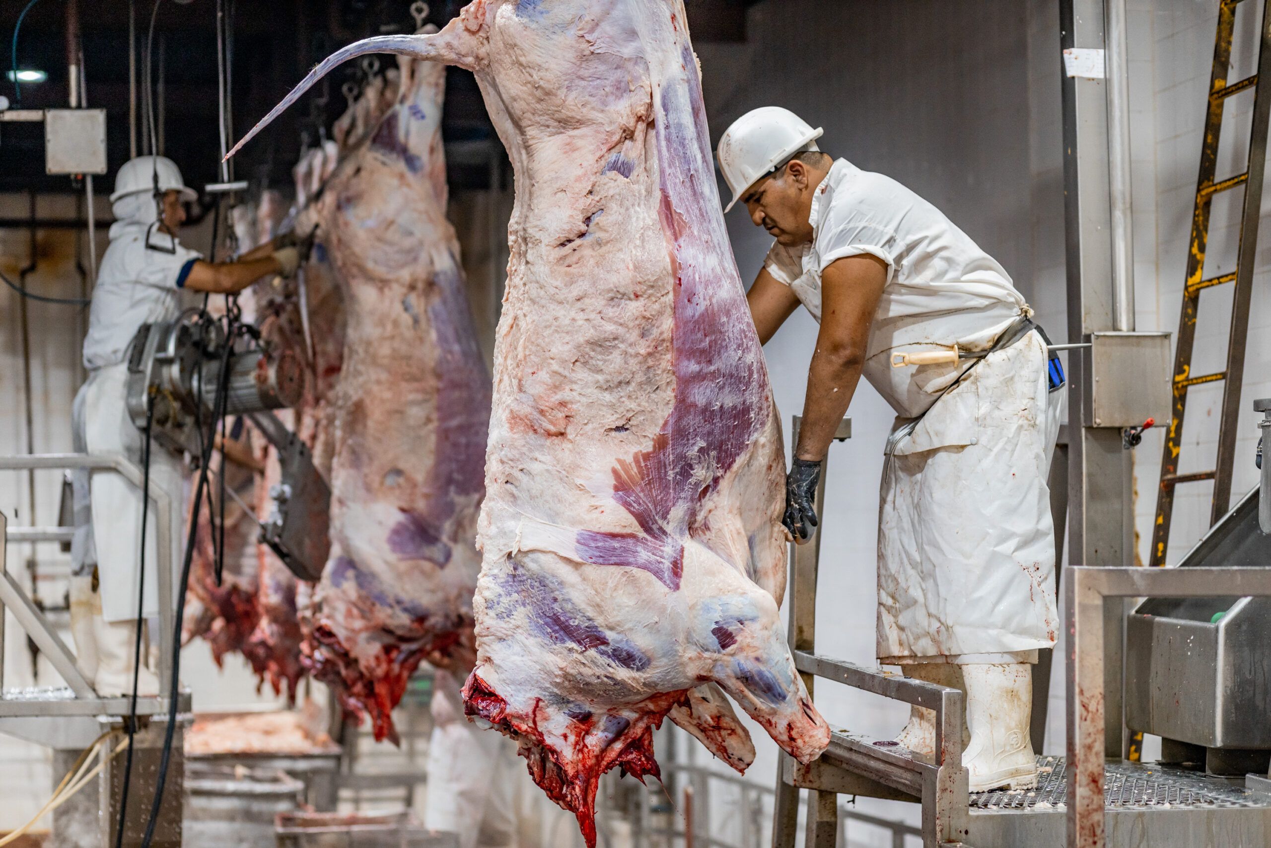 La carne argentina vuelve a tener pleno protagonismo en los mercados internacionales.
