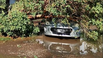 El viento y la intensa lluvia provocaron graves daños en Villa Regina y Chichinales.
