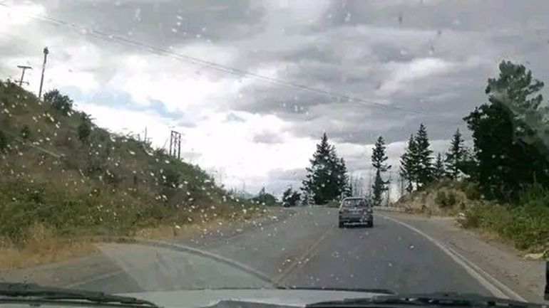 Comienzan a registrarse las primeras lluvias en Epuyén y El Hoyo.