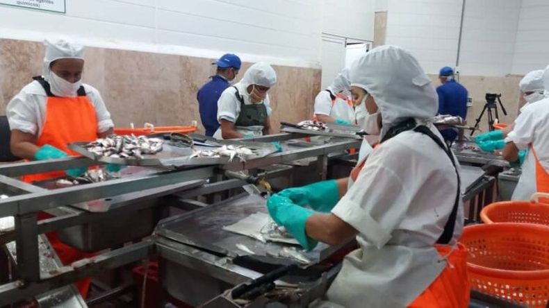 Empresa pesquera cierra sus puertas tras 50 años de historia