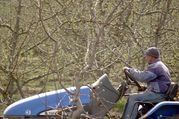 Comenzó la Operatoria del Fondo Rotatorio en Río Negro
