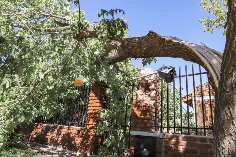 La tormenta derribó el pilar de luz en varios domicilios de la ciudad. La tormenta derribó el pilar de luz en varios domicilios de la ciudad.