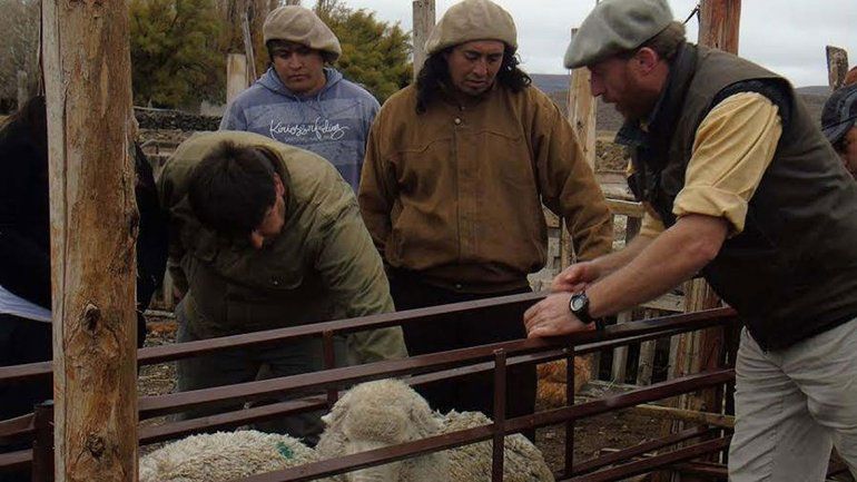 Las cooperativas y mutuales generan $2150 millones