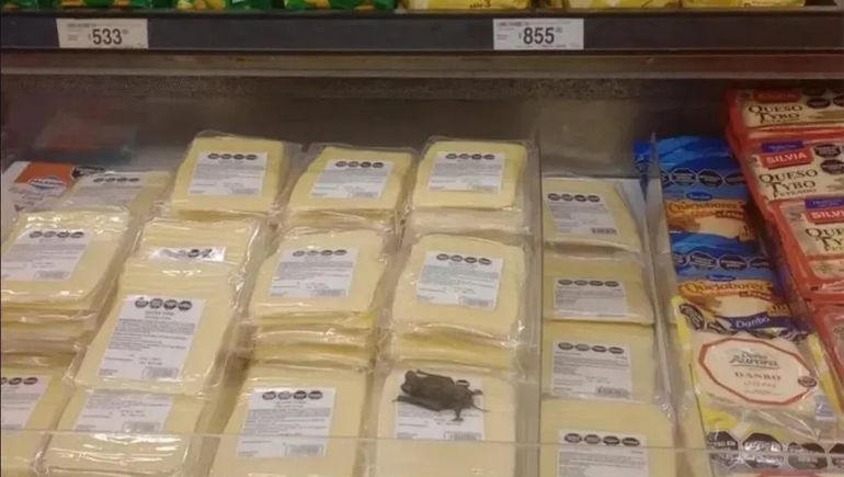 Hacía las compras y encontró un murciélago en las heladeras.
