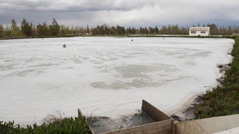 La Provincia usa el agua de cloacas para riego