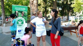 cannabis medicinal: piden respaldo a los candidatos
