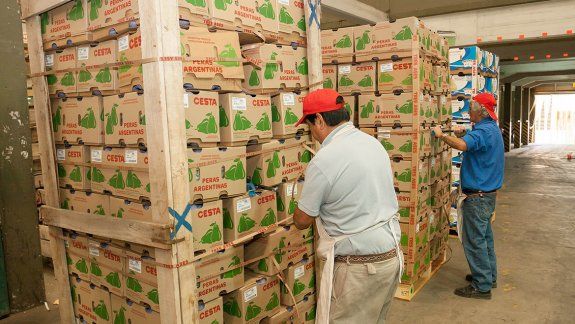 Provincia y Senasa avanzan en un plan de acción conjunto