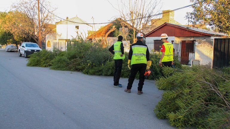Otra vez, el viento causó importantes trastornos