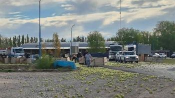 Todo ocurrió en la rotonda de Ruta 22 en uno de los ingresos a General Roca.