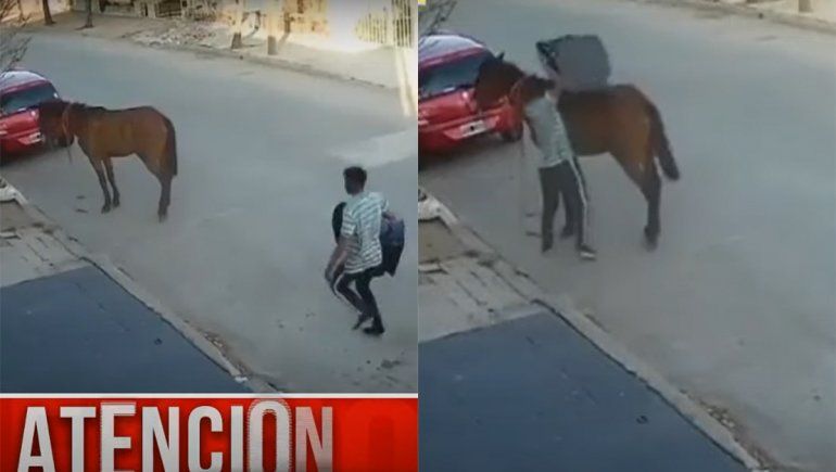 De no creer: se robó una butaca para niños y huyó a caballo