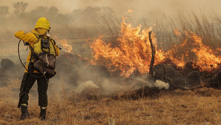 Santi Maratea juntó millones para los incendios en Corrientes