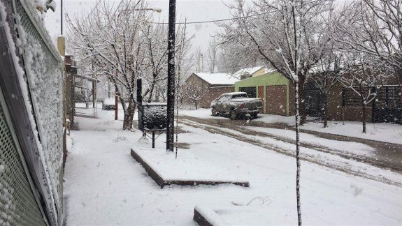 Catriel quedó cubierta por una intensa nevada