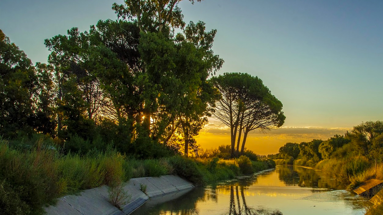 Los menonitas adquirieron 5.000 hectáreas en la zona de Negro Muerto, entre General Conesa y Choele Choel | LMCipolletti.com Los menonitas adquirieron 5.000 hectáreas en la zona de Negro Muerto, entre General Conesa y Choele Choel