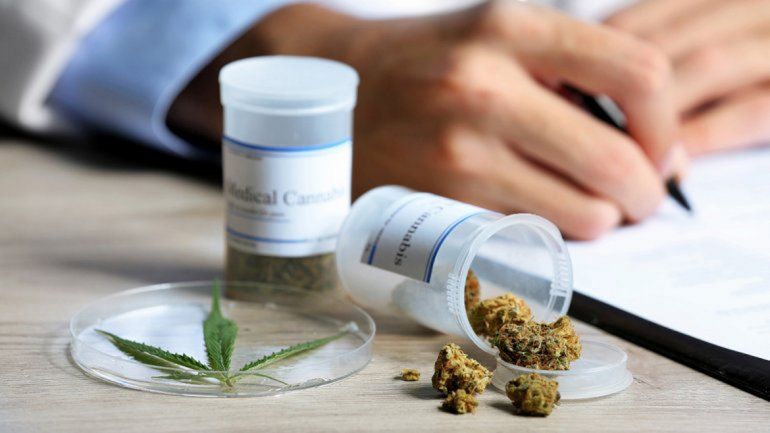 Se viene el segundo encuentro sobre cannabis medicinal