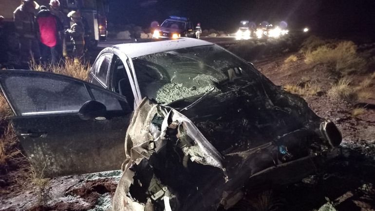 Vaca preñada murió atropellada en la ruta: el auto se prendió fuego