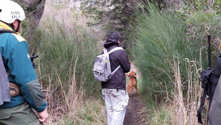Bariloche: encontraron el cuerpo de la turista desaparecida desde el lunes