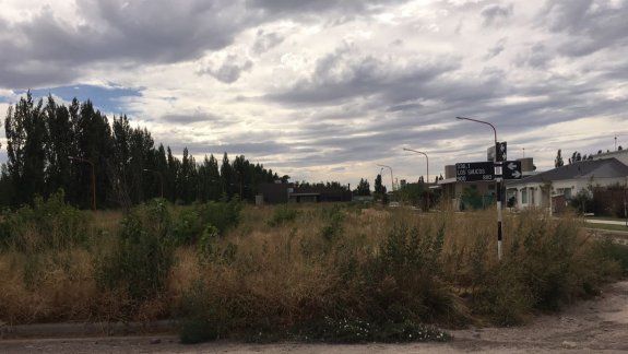 La plaza en realidad es ahora un descampado poblado de alimañas.