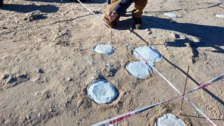 La Unco hace historia con el hallazgo de 200 huevos fósiles
