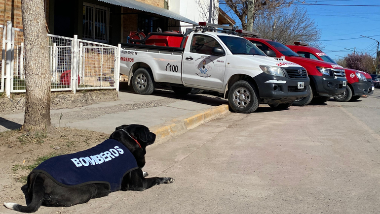 Marolio, el perro bombero del cuartel posando en las actividades oficiales del aniversario. Marolio, el perro bombero del cuartel posando en las actividades oficiales del aniversario.