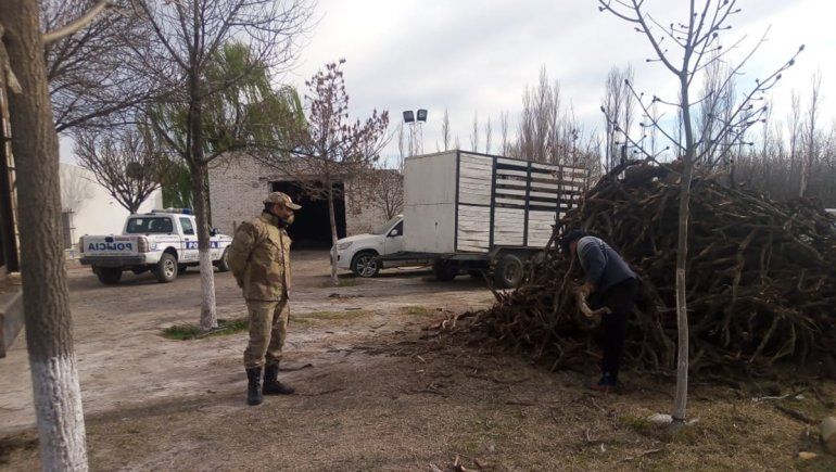 La Brigada Rural incautó 3500 kilos de leña en la Ruta 7