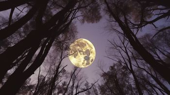 la luna del cazador iluminara la noche de este jueves: que es y a que hora se podra ver en argentina