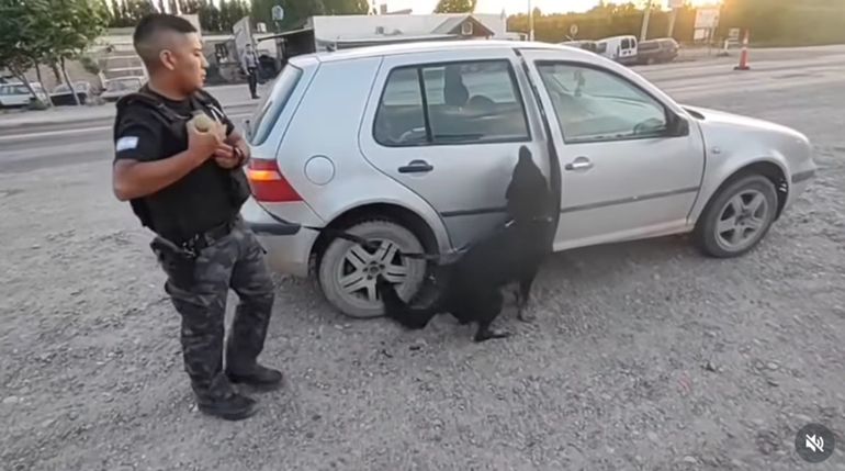 La División Canes de la Policía de Río Negro junto a Matías detectaron drogas en un auto.