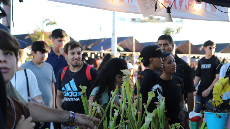 Un stand con una particular propuesta cautivó a los asistentes de la Fiesta de la Confluencia.