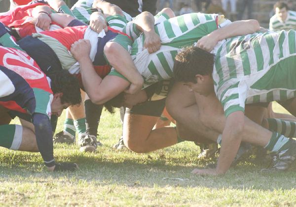 Marabunta, por el Oficial B de rugby