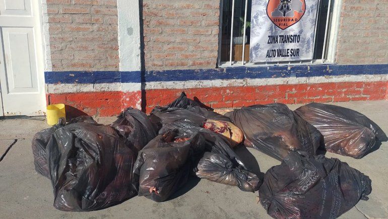 Dijo que no transportaba nada, pero le encontraron tres corderos en el auto