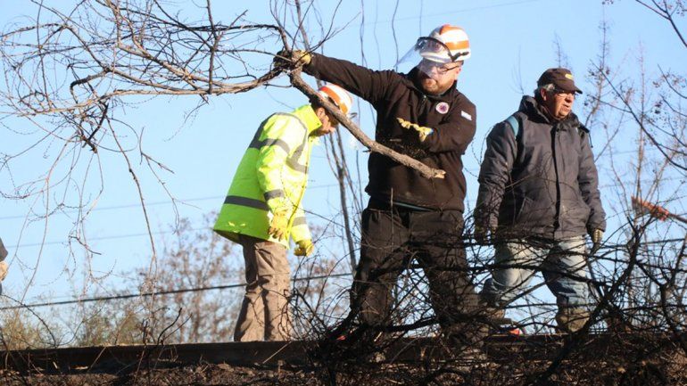 Sacaron un árbol que se quemó en el incendio del vivero y estaba por caer sobre las vías del tren