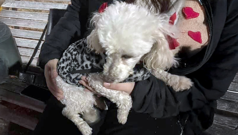 La perrita pasó un momento estresante en la plaza del arroba pero se pudo reencontrar con sus dueños.